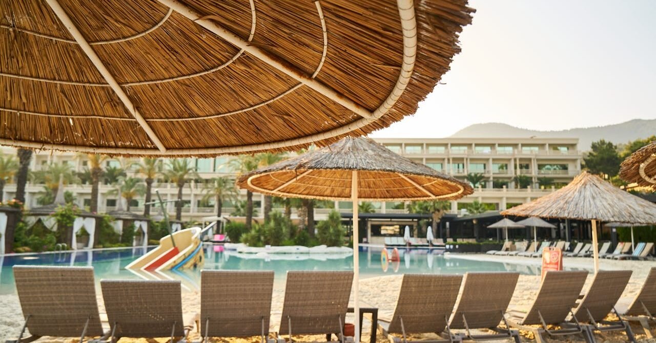 pexels-enginakyurt-2736379